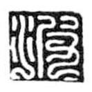 鸟虫篆写的篆书波