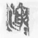 简帛写的篆书演