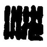 篆刻字典寫(xiě)的篆書(shū)沈