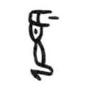 甲骨文写的篆书涎