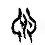簡(jiǎn)帛寫的篆書淵