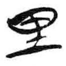 简帛写的篆书里