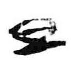 简帛写的篆书旦