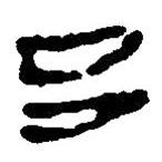 簡帛寫的篆書呂