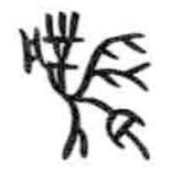 甲骨文写的篆书凤