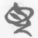 簡(jiǎn)帛寫(xiě)的篆書(shū)見(jiàn)
