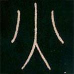 李陽(yáng)冰寫的篆書火