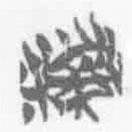 简帛写的篆书窃