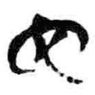 簡(jiǎn)帛寫的篆書它