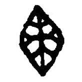 篆刻字典写的篆书龟