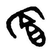 篆刻字典寫的篆書冟