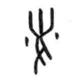 甲骨文寫(xiě)的篆書(shū)耑