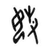 甲骨文寫的篆書媰