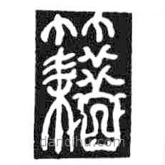 鳥蟲篆全書寫的篆書籍