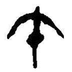 篆刻字典写的篆书午