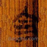 清华简写的篆书命