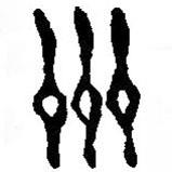 篆刻字典写的篆书州