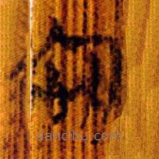 清華簡(jiǎn)寫(xiě)的篆書(shū)念