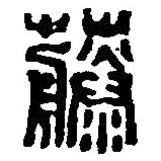 篆刻字典寫的篆書藤
