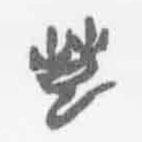 清华简字表写的篆书芸