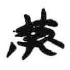 简帛写的篆书黄