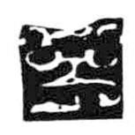 鸟虫篆写的篆书子