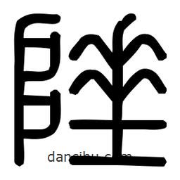 印篆體寫的篆書陲