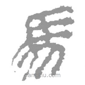 簡(jiǎn)帛寫的篆書馬