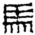 篆刻字典寫的篆書馬