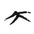 簡(jiǎn)帛寫的篆書大