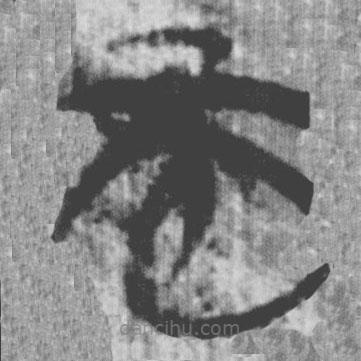 上博简写的篆书而