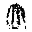 篆刻字典写的篆书太