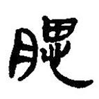 簡帛寫的篆書腮
