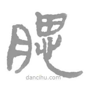 簡帛寫的篆書腮