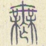 安国写的篆书无