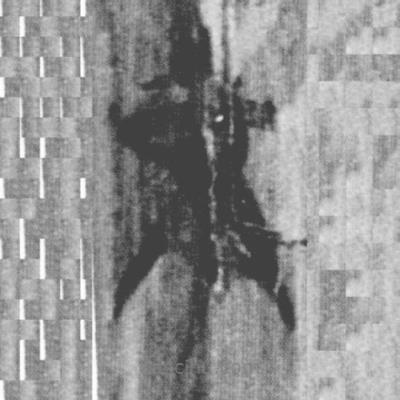 上博簡寫的篆書不