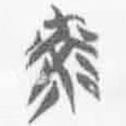 簡帛寫的篆書光