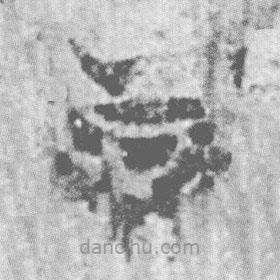 简帛写的篆书曰