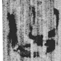 上博简写的篆书曰