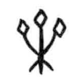 甲骨文寫(xiě)的篆書(shū)葉