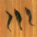 清華簡(jiǎn)寫的篆書川
