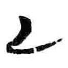 简帛写的篆书乙