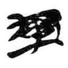 簡(jiǎn)帛寫(xiě)的篆書(shū)軍