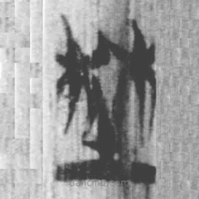 上博簡寫的篆書埜