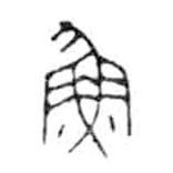 金文写的篆书鱼