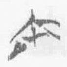 清華簡(jiǎn)字表寫(xiě)的篆書(shū)爾
