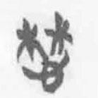 簡帛寫的篆書惏