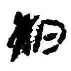 簡(jiǎn)帛寫(xiě)的篆書(shū)柏