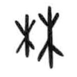 甲骨文写的篆书林