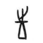 甲骨文寫(xiě)的篆書(shū)往